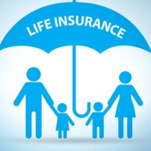 Life Insurance Term Plans